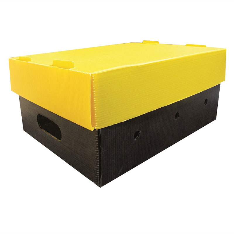 Image-HasTech